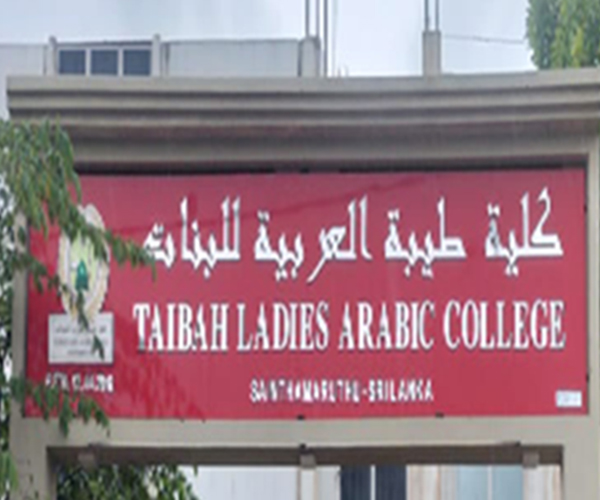 Signage and branding project 50